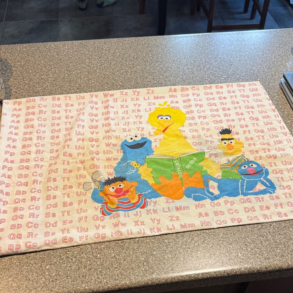 Vintage sesame street pillowcase